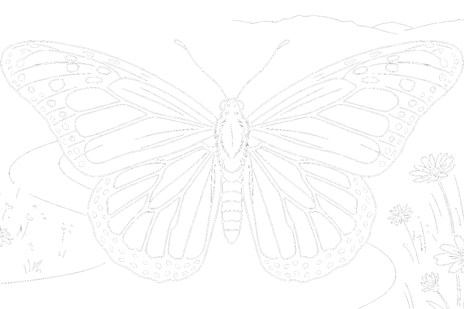 פרפר יוצא מגולם, חוסן מנטלי דרך מדיטציה ללא מוזיקה